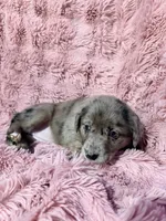 processed/6b82ecdc-350c-4435-9970-de236c3a4601/listing/755b7db2-9c41-4db1-85f2-bd514cc8b69a/53216da9-b69b-48ef-8bd5-a5113c827a78