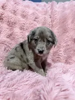 processed/6b82ecdc-350c-4435-9970-de236c3a4601/listing/755b7db2-9c41-4db1-85f2-bd514cc8b69a/77e1462c-91d8-4026-bef6-cd24f9f1a2d8