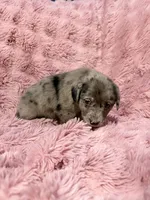 processed/6b82ecdc-350c-4435-9970-de236c3a4601/listing/755b7db2-9c41-4db1-85f2-bd514cc8b69a/9c5f4a54-05ad-443a-86cb-7ba9fa4d8d7d