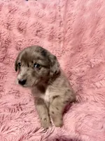 processed/6b82ecdc-350c-4435-9970-de236c3a4601/listing/755b7db2-9c41-4db1-85f2-bd514cc8b69a/f468b2a6-e65b-44fc-8a2f-7e293db654ad