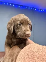 processed/6b82ecdc-350c-4435-9970-de236c3a4601/listing/cc8e64ca-40c7-40cb-9b82-bf59266903b7/c7a764e9-cd7a-4088-9987-f47bc32699a4