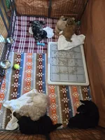 processed/6b83251c-b08e-40de-9700-dd2296e4fd7d/facility/095c0390-f965-44d6-bfad-05b653280e36