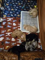 processed/6b83251c-b08e-40de-9700-dd2296e4fd7d/facility/89457d3b-8f5a-44f6-b60b-03923d51974b