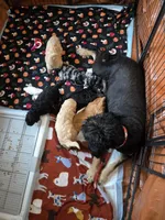 processed/6b83251c-b08e-40de-9700-dd2296e4fd7d/facility/b406465b-434b-4a09-b13b-622644c1f533