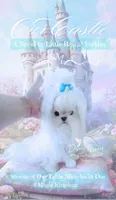 Teacup Korean Maltese , a male Maltese for sale in Radford, VA – 1 of 7