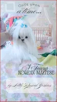 Teacup Korean Maltese , a male Maltese for sale in Radford, VA – 5 of 7