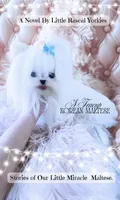 2.2 Korean Maltese , a male Maltese for sale in Radford, VA – 3 of 5