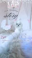 Teaspoon Korean Princess , a female Maltese for sale in Radford, VA – 5 of 9