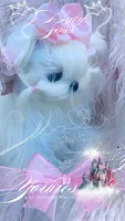 Baby Sass , a female Maltese for sale in Radford, VA – 5 of 10