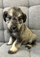 processed/6b859b27-3bfe-4cc8-94c8-f10fff87fe09/listing/03b3527b-c9a3-4d7e-a59a-efa5f05253d7/20a5f549-f333-408d-9faa-53539863fdca