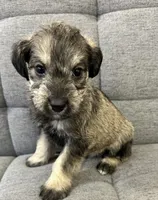 processed/6b859b27-3bfe-4cc8-94c8-f10fff87fe09/listing/03b3527b-c9a3-4d7e-a59a-efa5f05253d7/562baf76-c4d5-4141-ba27-0669fef77296