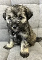 processed/6b859b27-3bfe-4cc8-94c8-f10fff87fe09/listing/3e71856f-e9cc-4b07-82fd-fc6a7a4eb542/308fcb5d-81ea-499b-9895-45741abb1876