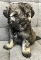 processed/6b859b27-3bfe-4cc8-94c8-f10fff87fe09/listing/3e71856f-e9cc-4b07-82fd-fc6a7a4eb542/6215d704-47cf-4b3c-9056-f9729d2530ee