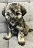 processed/6b859b27-3bfe-4cc8-94c8-f10fff87fe09/listing/3e71856f-e9cc-4b07-82fd-fc6a7a4eb542/856f1d89-0b07-4d2f-a5bc-4b43b13be8b8