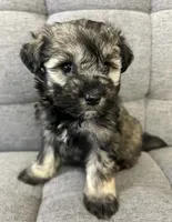 processed/6b859b27-3bfe-4cc8-94c8-f10fff87fe09/listing/3e71856f-e9cc-4b07-82fd-fc6a7a4eb542/a7a7f2ee-1603-4640-b59f-fca672dd25f0