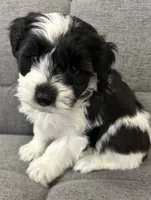 processed/6b859b27-3bfe-4cc8-94c8-f10fff87fe09/listing/b9005dd2-f6bc-43d6-b651-3a2608eb4dd5/4d007e58-d526-4994-baa6-43e6d5754ea6