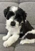 processed/6b859b27-3bfe-4cc8-94c8-f10fff87fe09/listing/b9005dd2-f6bc-43d6-b651-3a2608eb4dd5/8a61e272-63f2-4377-947f-9adfdc610db0