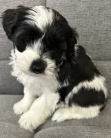 processed/6b859b27-3bfe-4cc8-94c8-f10fff87fe09/listing/b9005dd2-f6bc-43d6-b651-3a2608eb4dd5/fd521ed8-16ef-4b15-ba63-d3fec028cfa3