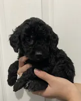 processed/6b892ea8-91a6-46cd-8112-3fba6331679a/listing/79700308-d952-4dfe-8cc2-3df7ad884de9/07447774-eb5b-4e7a-a850-c103f135def5