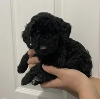 processed/6b892ea8-91a6-46cd-8112-3fba6331679a/listing/79700308-d952-4dfe-8cc2-3df7ad884de9/7196210b-c1a5-4441-882e-5fe8dcda4de1