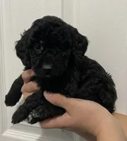 processed/6b892ea8-91a6-46cd-8112-3fba6331679a/listing/79700308-d952-4dfe-8cc2-3df7ad884de9/d9774b46-2e77-4a2b-aee3-a864b4692b2e