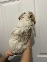 processed/6b892ea8-91a6-46cd-8112-3fba6331679a/listing/94c3936e-981b-4826-aef4-f5c40b82553e/6d17a9b1-bc89-432e-a1ec-416a5ae62b93