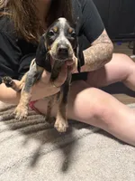 processed/6b8c35ae-b298-43cc-9c69-9134ba74952f/listing/7f7a4d77-d7cc-4422-80b2-924381c89642/c55e7c71-154f-4fe0-8421-072c3cd2637a