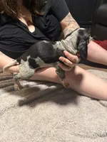 processed/6b8c35ae-b298-43cc-9c69-9134ba74952f/listing/7f7a4d77-d7cc-4422-80b2-924381c89642/e1ecfd29-b94e-47a3-b5ca-d958a08c60b8