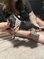 processed/6b8c35ae-b298-43cc-9c69-9134ba74952f/listing/7f7a4d77-d7cc-4422-80b2-924381c89642/f74989af-6e37-4f37-a1b4-63fa49753083