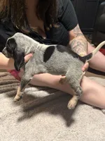 processed/6b8c35ae-b298-43cc-9c69-9134ba74952f/listing/e734f77d-de38-4216-87bb-06f28e7cf732/b75bd56c-2e5f-490e-b52c-491341c80600