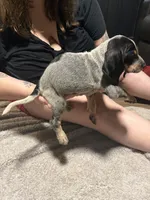 processed/6b8c35ae-b298-43cc-9c69-9134ba74952f/listing/e734f77d-de38-4216-87bb-06f28e7cf732/b8bd7e2f-317f-4e98-afc2-da6b7c8fbcc6