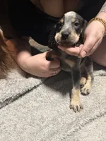 processed/6b8c35ae-b298-43cc-9c69-9134ba74952f/listing/ff1301ff-5eea-4f8a-a0b5-40b00d9b5f19/6ca4400f-f32f-41dd-ad0d-307b66736e54