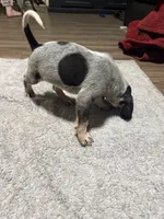 processed/6b8c35ae-b298-43cc-9c69-9134ba74952f/listing/ff1301ff-5eea-4f8a-a0b5-40b00d9b5f19/8c54b45b-fb72-4731-8939-68c8de862f32