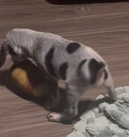 processed/6b8c35ae-b298-43cc-9c69-9134ba74952f/listing/ff1301ff-5eea-4f8a-a0b5-40b00d9b5f19/d92985d3-ecc2-410d-81ad-c33b98f4ce2e