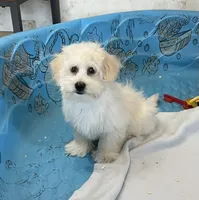 processed/6b8f1ba0-53c4-44aa-9a40-96ba513b41a5/listing/00d82afc-85c8-47a5-ad4b-044d4846b3c7/1474efe8-cc37-4060-a6ca-19a989a1b20d