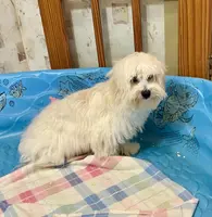 processed/6b8f1ba0-53c4-44aa-9a40-96ba513b41a5/listing/00d82afc-85c8-47a5-ad4b-044d4846b3c7/834bfa26-569e-42b3-9c36-724247556776