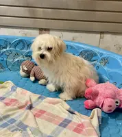 processed/6b8f1ba0-53c4-44aa-9a40-96ba513b41a5/listing/00d82afc-85c8-47a5-ad4b-044d4846b3c7/8536ec1f-a418-4eca-bae4-798a4873e09c