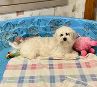 processed/6b8f1ba0-53c4-44aa-9a40-96ba513b41a5/listing/00d82afc-85c8-47a5-ad4b-044d4846b3c7/8853fdd0-f3b4-4d04-8985-0b95f06ae987