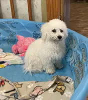 processed/6b8f1ba0-53c4-44aa-9a40-96ba513b41a5/listing/034f55cd-4b44-45d4-b16c-9c9d0a9ad0fc/127d2266-6803-49b3-8256-7709a30c9d0c