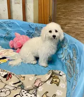 processed/6b8f1ba0-53c4-44aa-9a40-96ba513b41a5/listing/034f55cd-4b44-45d4-b16c-9c9d0a9ad0fc/2224bc77-d8fd-4852-8ece-df0ee6391508