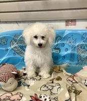 processed/6b8f1ba0-53c4-44aa-9a40-96ba513b41a5/listing/034f55cd-4b44-45d4-b16c-9c9d0a9ad0fc/379a447b-001e-4ca0-b3f0-55af3c5e557b