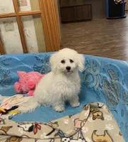 processed/6b8f1ba0-53c4-44aa-9a40-96ba513b41a5/listing/034f55cd-4b44-45d4-b16c-9c9d0a9ad0fc/5b3d483f-3841-4108-ac2f-34f370238d7c