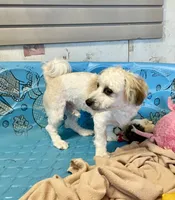 processed/6b8f1ba0-53c4-44aa-9a40-96ba513b41a5/listing/1fd8f540-6eae-4b2b-80e5-611306467205/36c017cd-c690-4a68-9d8f-c08d0c79d554