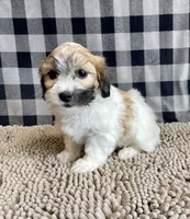 processed/6b8f1ba0-53c4-44aa-9a40-96ba513b41a5/listing/1fd8f540-6eae-4b2b-80e5-611306467205/61ebb543-d6a4-4572-a4e8-d96f03160a0e