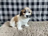 processed/6b8f1ba0-53c4-44aa-9a40-96ba513b41a5/listing/1fd8f540-6eae-4b2b-80e5-611306467205/63d5f339-53b4-468c-8a0f-f0756004d3a1