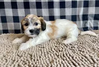 processed/6b8f1ba0-53c4-44aa-9a40-96ba513b41a5/listing/1fd8f540-6eae-4b2b-80e5-611306467205/a765b210-6be2-49fa-9877-3503b63ddf75