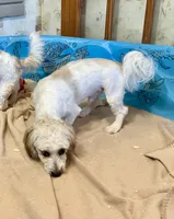 processed/6b8f1ba0-53c4-44aa-9a40-96ba513b41a5/listing/1fd8f540-6eae-4b2b-80e5-611306467205/acfdfa58-6cd0-4744-b041-fa60a63efb49