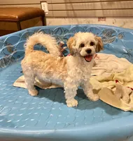 processed/6b8f1ba0-53c4-44aa-9a40-96ba513b41a5/listing/2172019c-9195-44ff-931d-fe7d4ced35b0/119333ec-d3c7-424d-b2a5-586c5dde5314