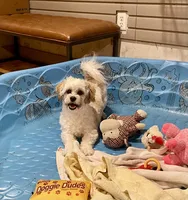 processed/6b8f1ba0-53c4-44aa-9a40-96ba513b41a5/listing/2172019c-9195-44ff-931d-fe7d4ced35b0/4213248e-4779-4bd5-aed4-52d90db2a762