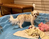 processed/6b8f1ba0-53c4-44aa-9a40-96ba513b41a5/listing/2172019c-9195-44ff-931d-fe7d4ced35b0/eb3395d6-3f3a-4f71-a20e-1d2024842463